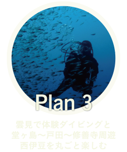Plan03